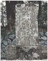 ��ǐe����